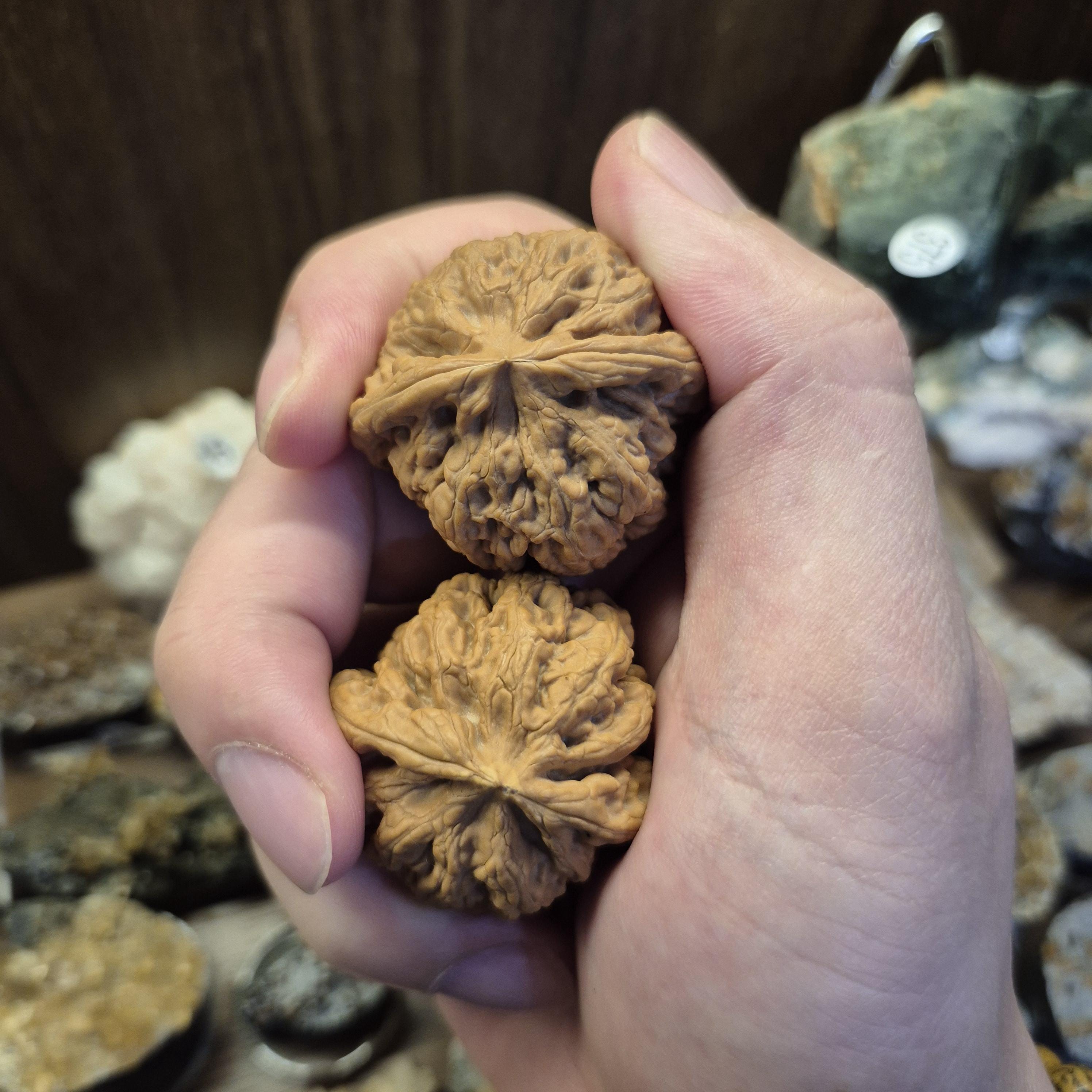 Natural Wenwan Walnut Pair Small Size 35-39mm