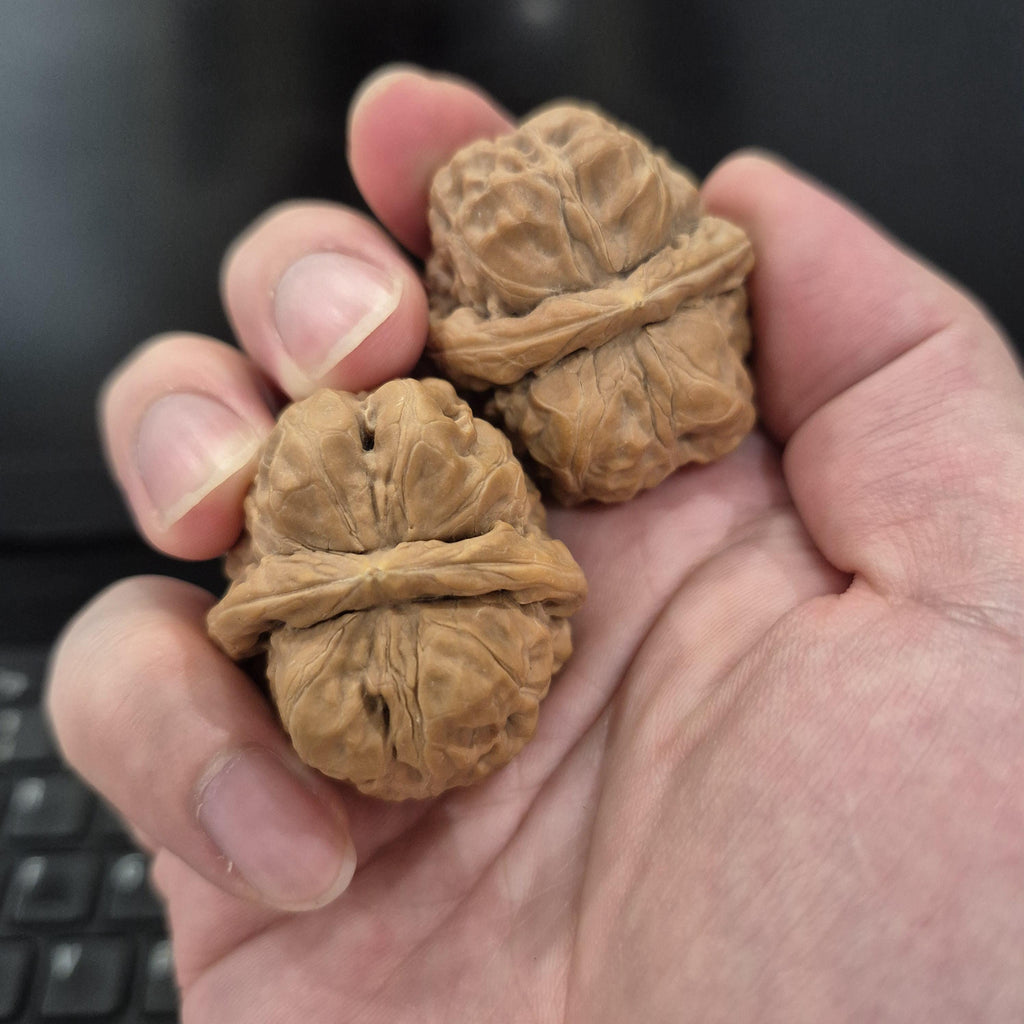 Toad Head Wenwan Walnuts 38-40mm