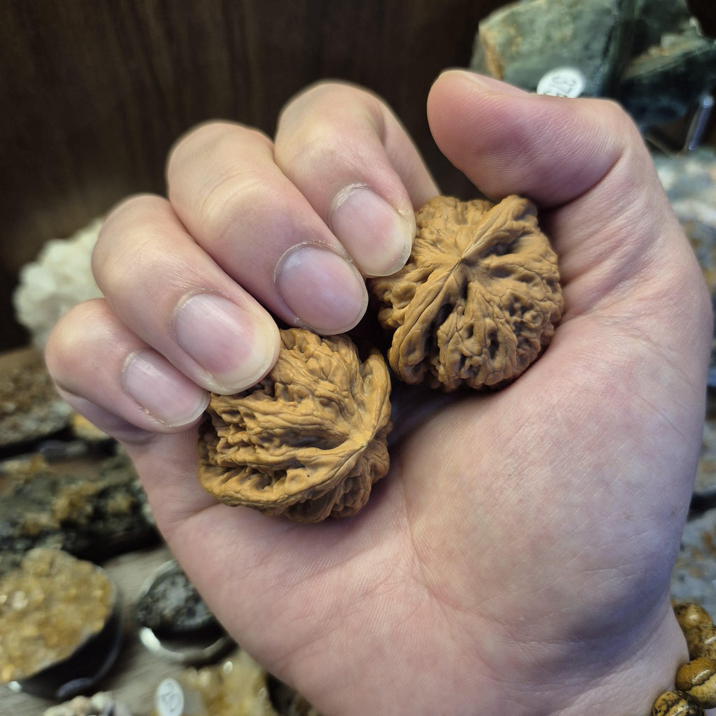 Natural Wenwan Walnut Pair Small Size 35-39mm