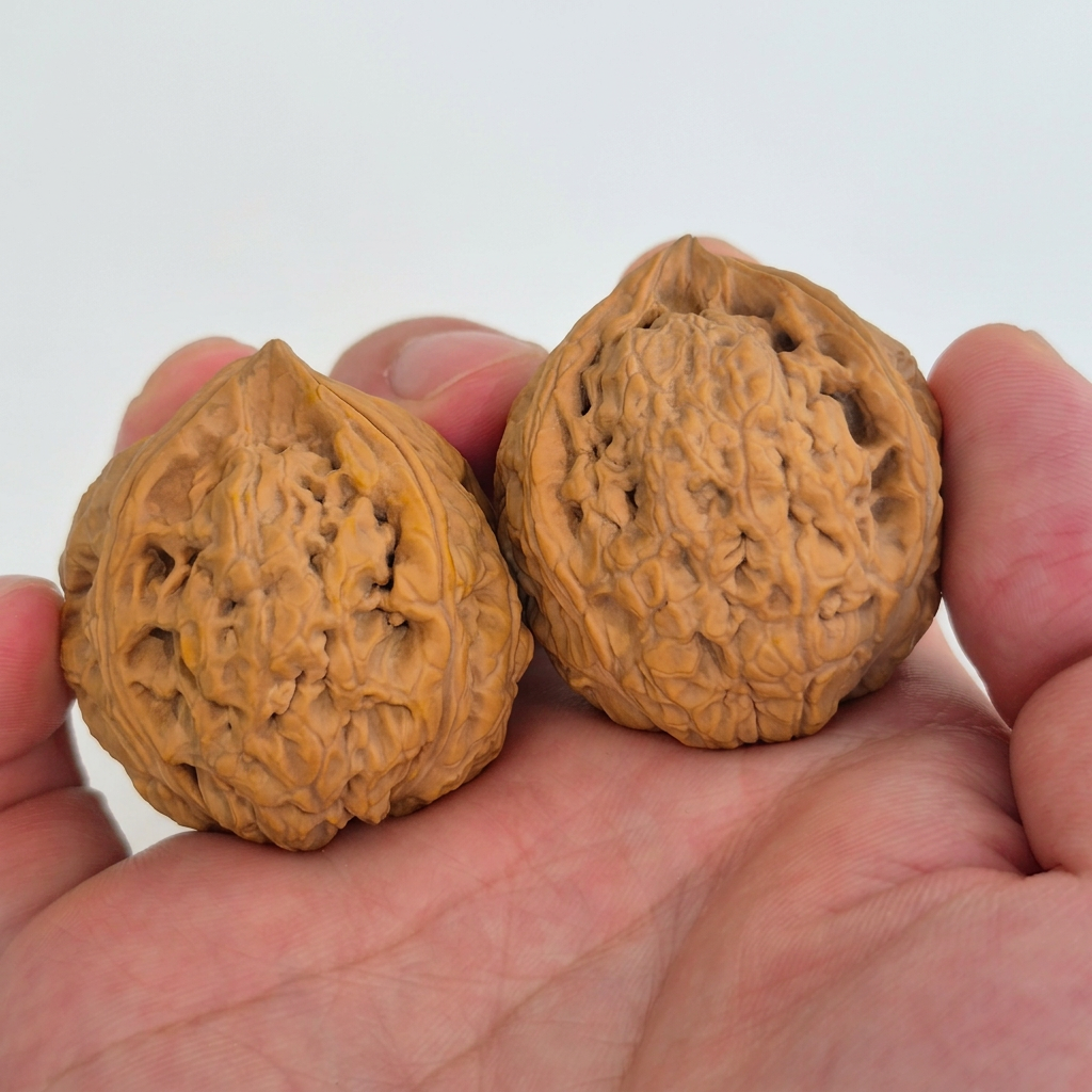Wenwan Walnuts No 499