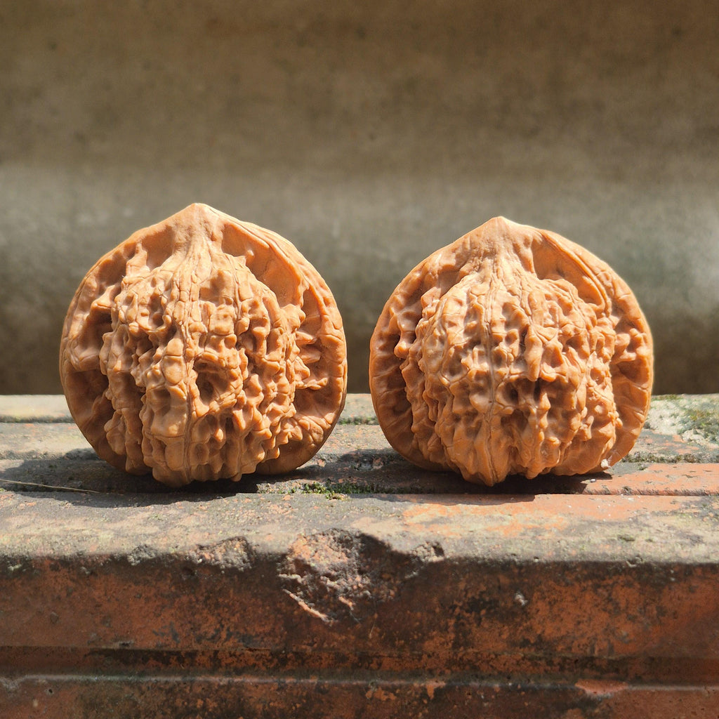 Large Wenwan Walnut Hand Exercise Balls 45-50mm, Pointed Peak Bodhi Shape