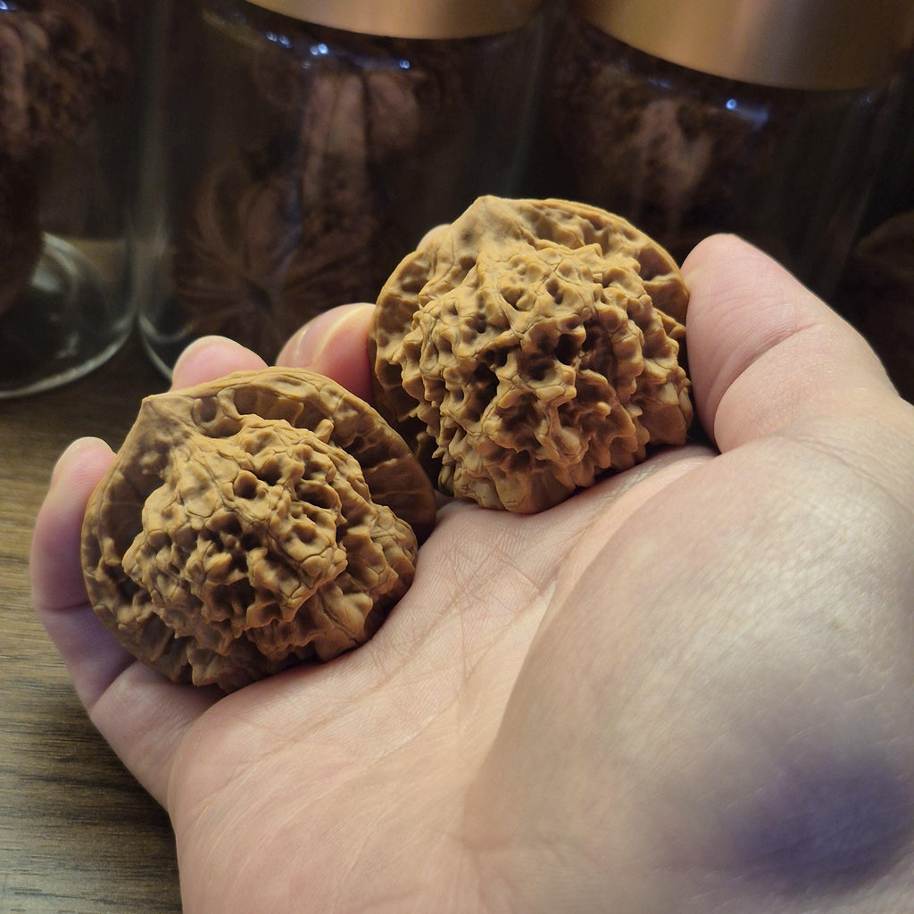 Wenwan Walnuts No 392