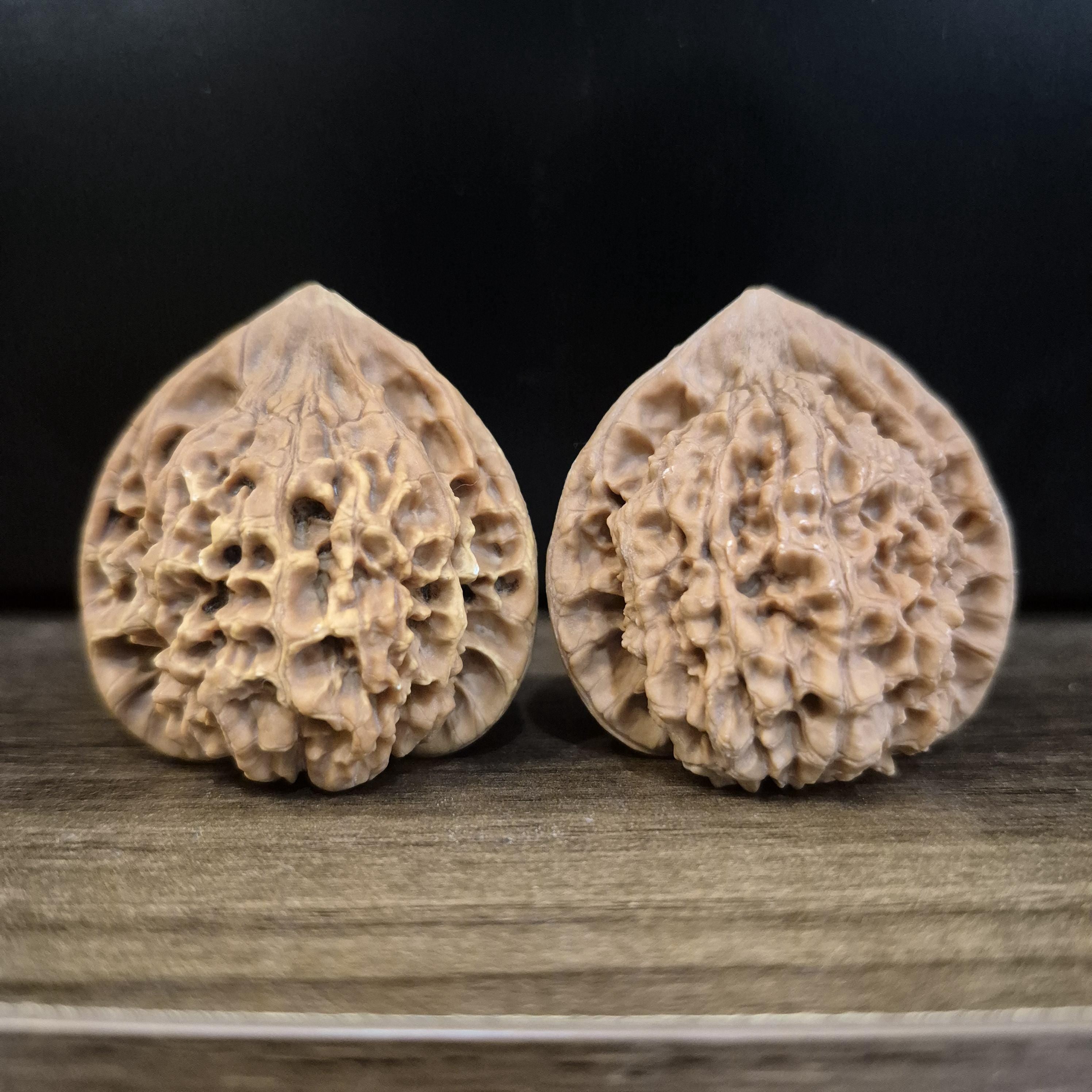 Wenwan Walnuts No 151