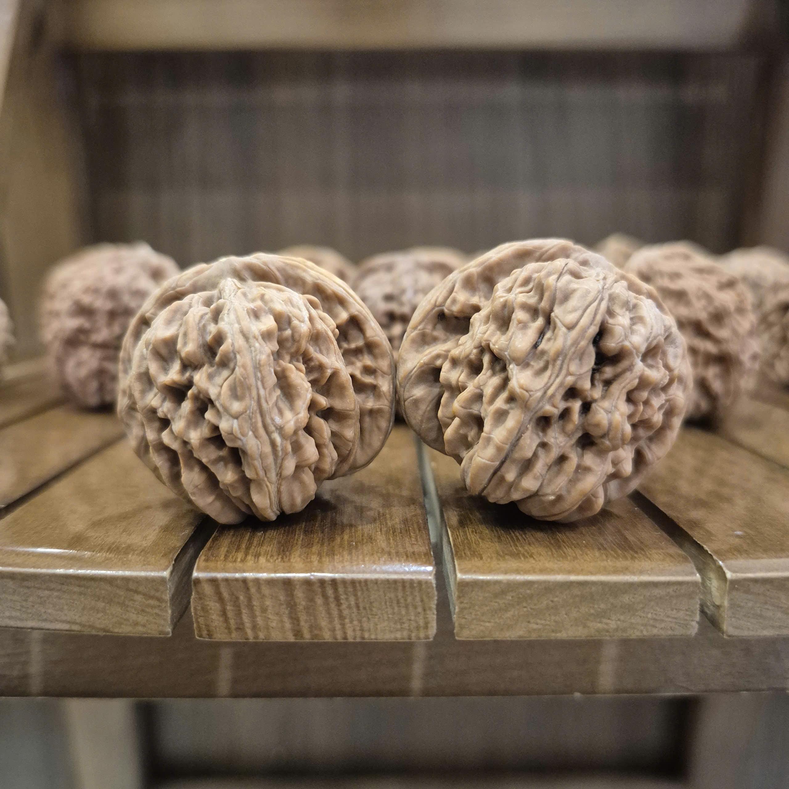 Wenwan Hand-Rolled Walnuts, Cheap for Beginners, Not Perfect Product
