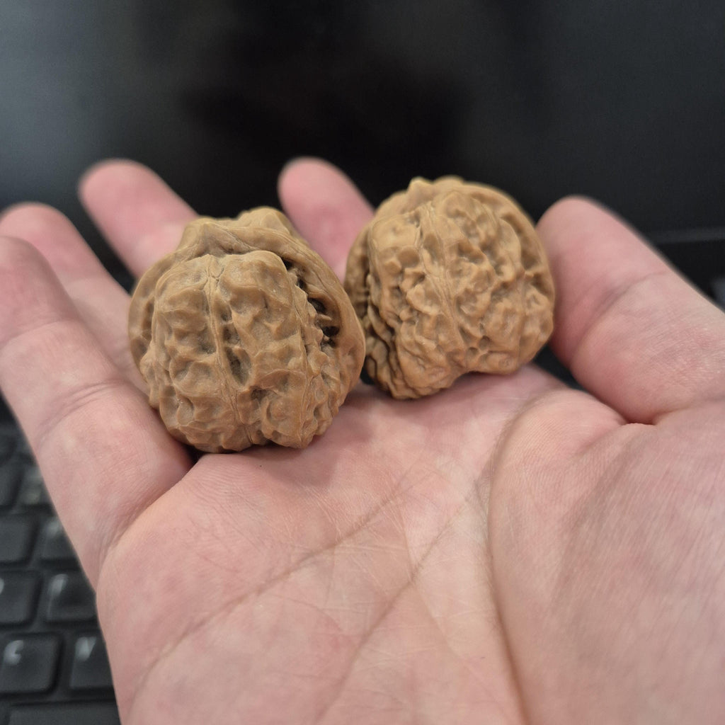 Toad Head Wenwan Walnuts 38-40mm