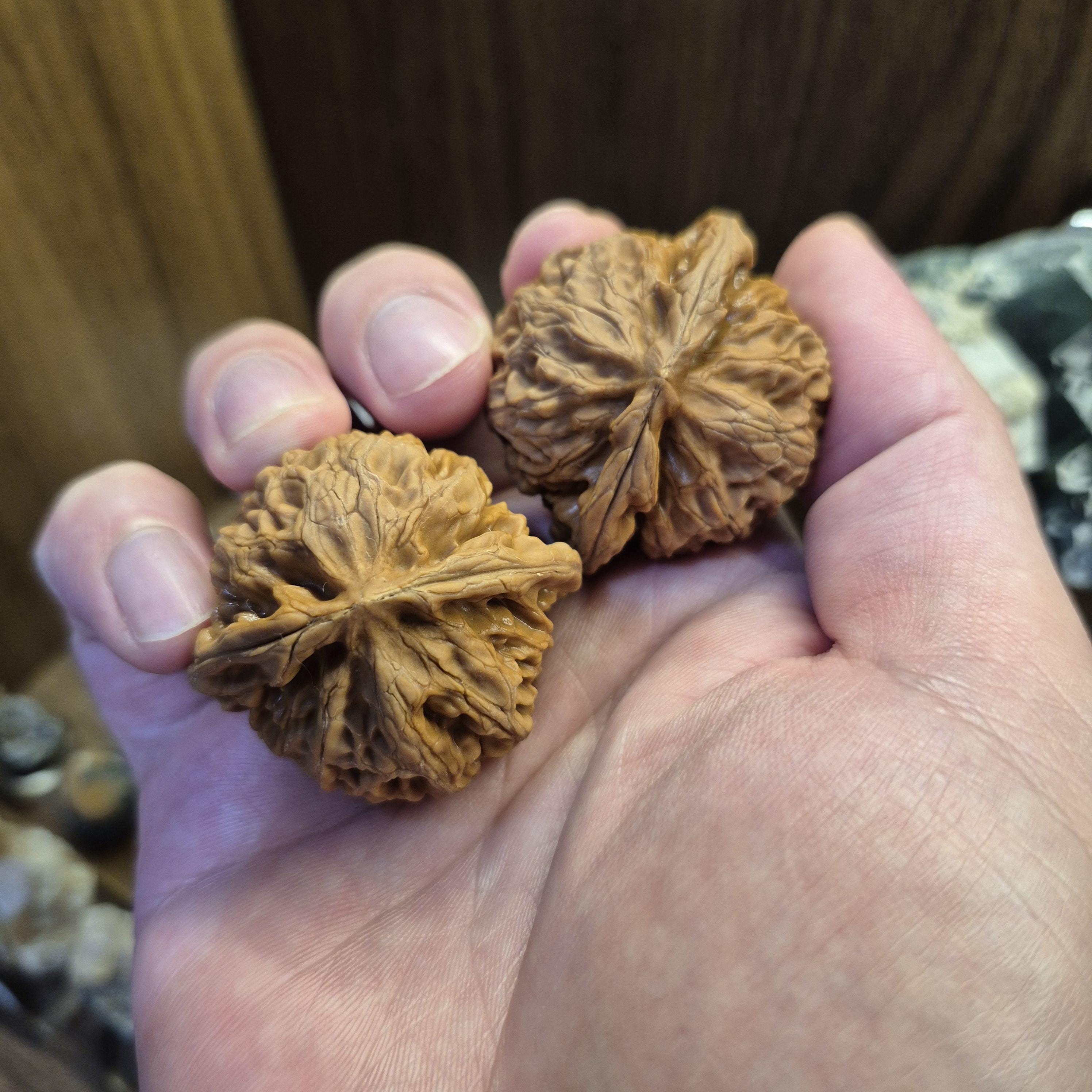 Lantern Wenwan Walnuts 38-40mm