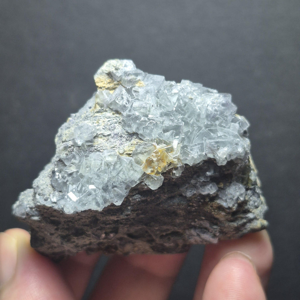 Natural Clear Flourite Crystal Cluster on Matrix - Raw Mineral Specimen