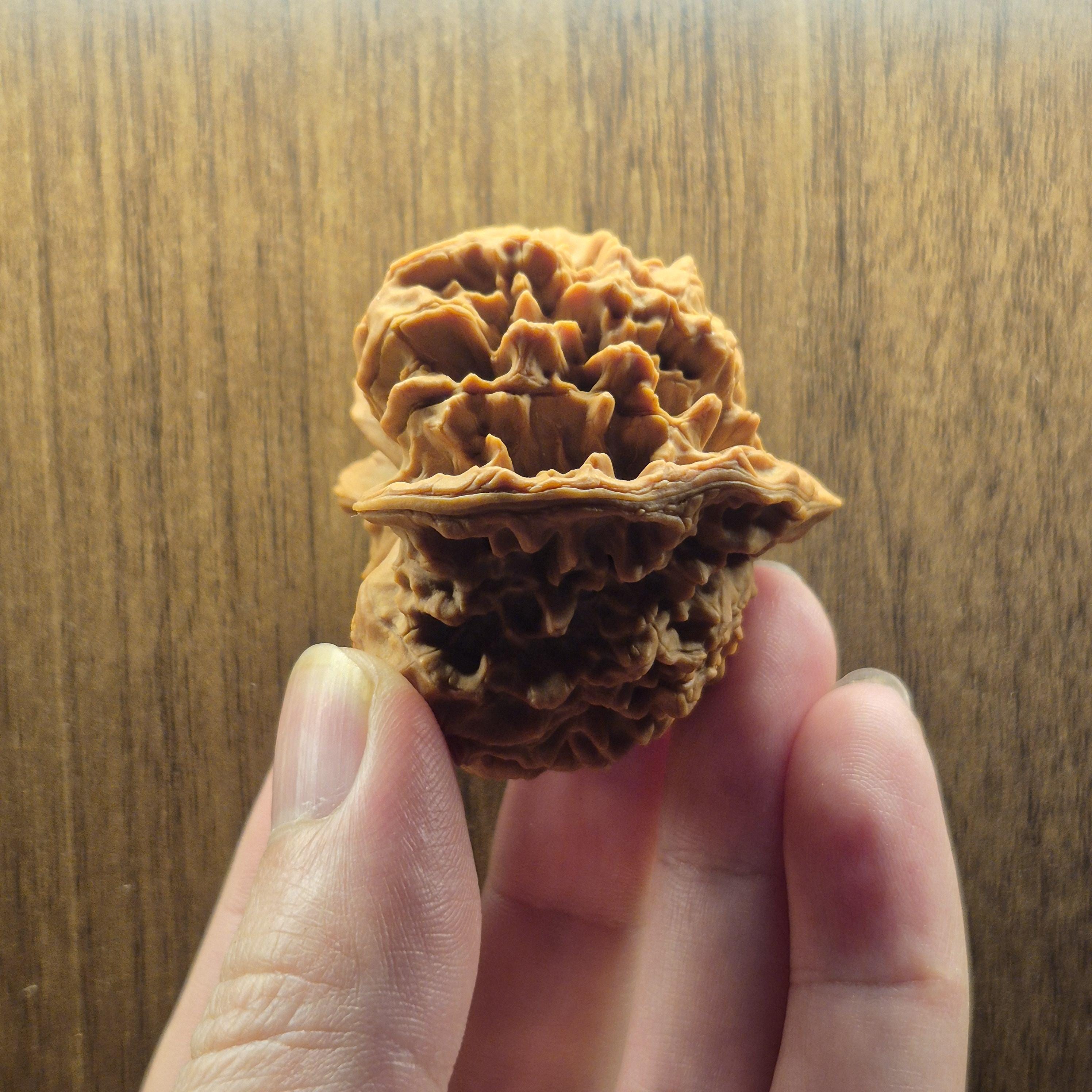 Wenwan Walnuts No 394