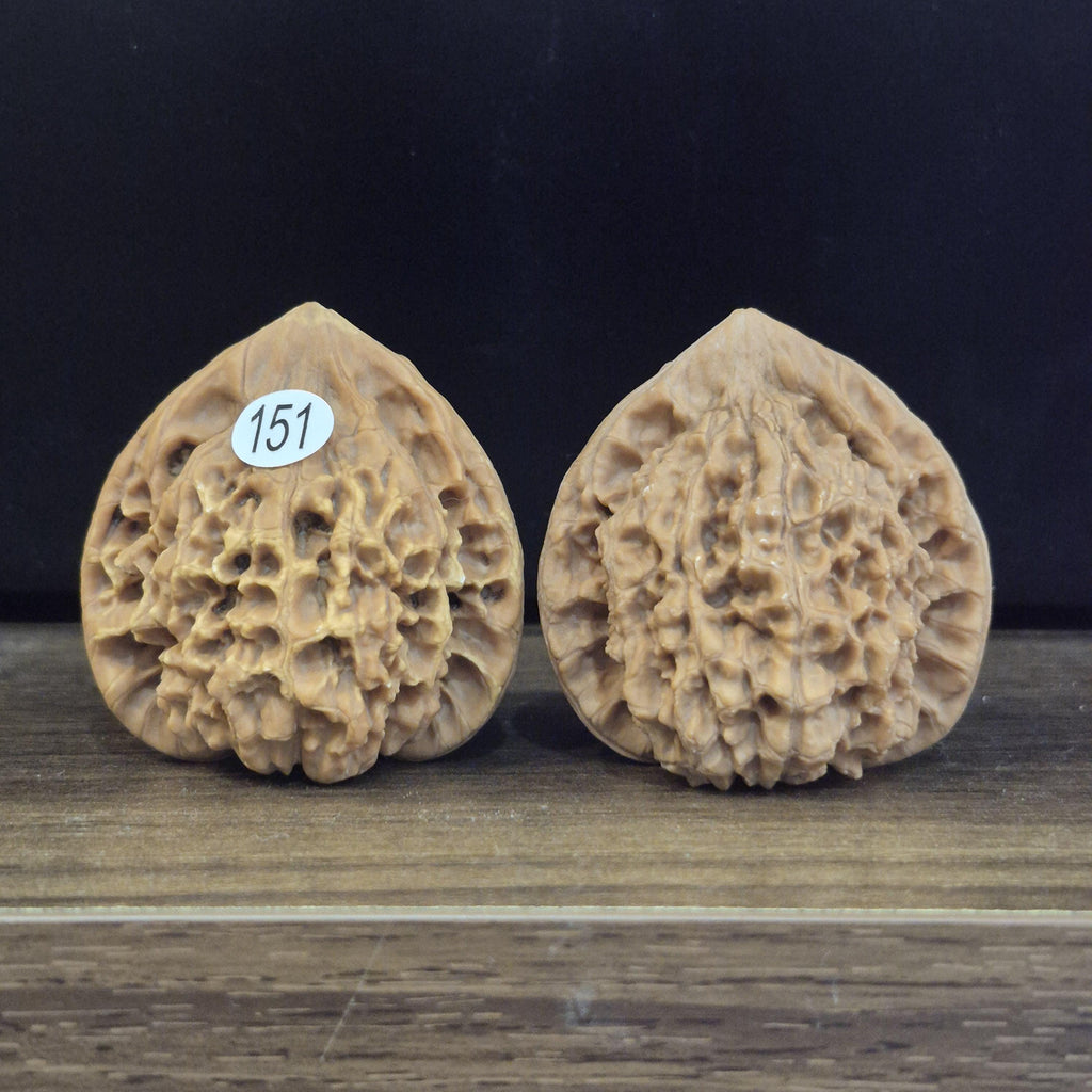 Wenwan Walnuts No 151