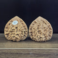 Wenwan Walnuts No 151