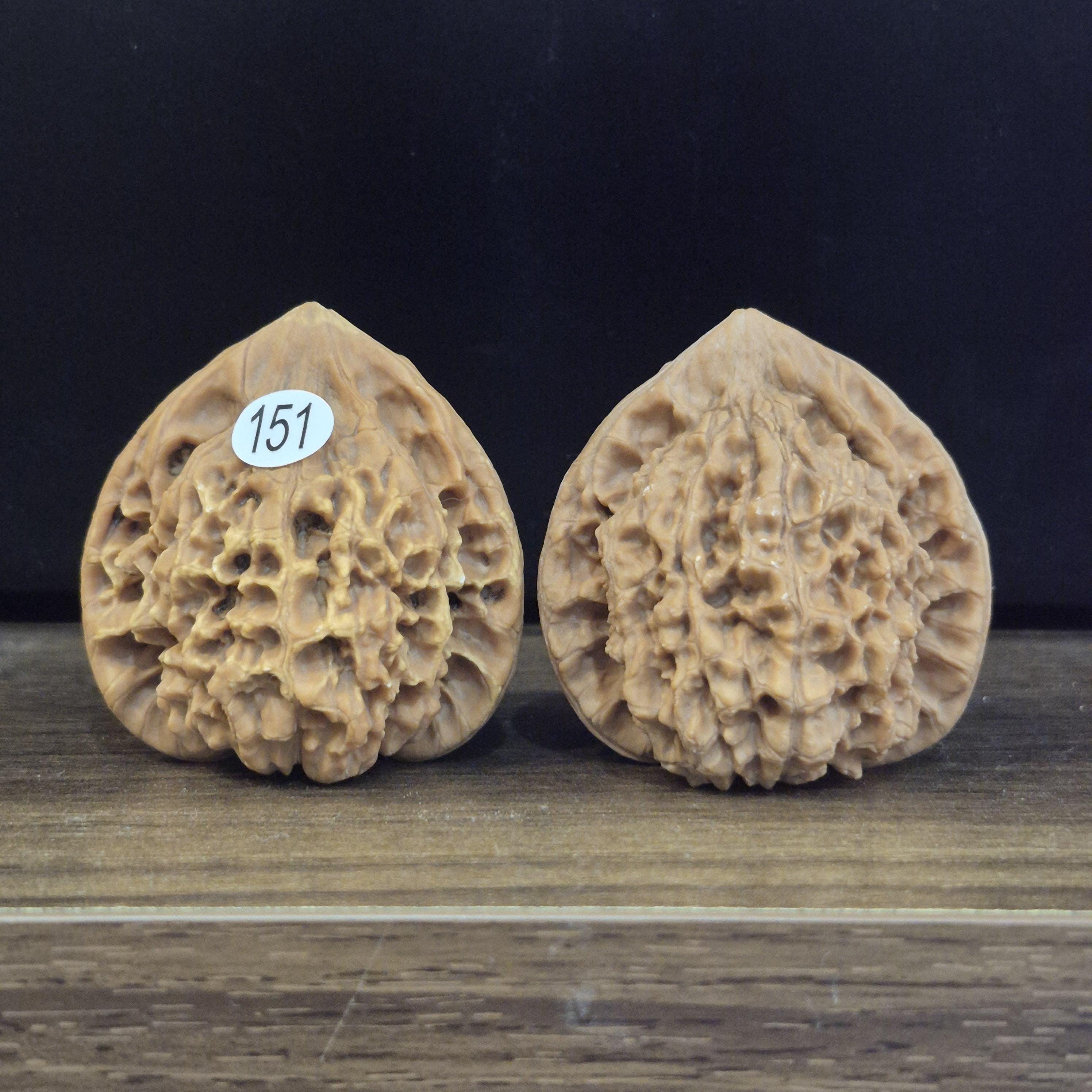Wenwan Walnuts No 151