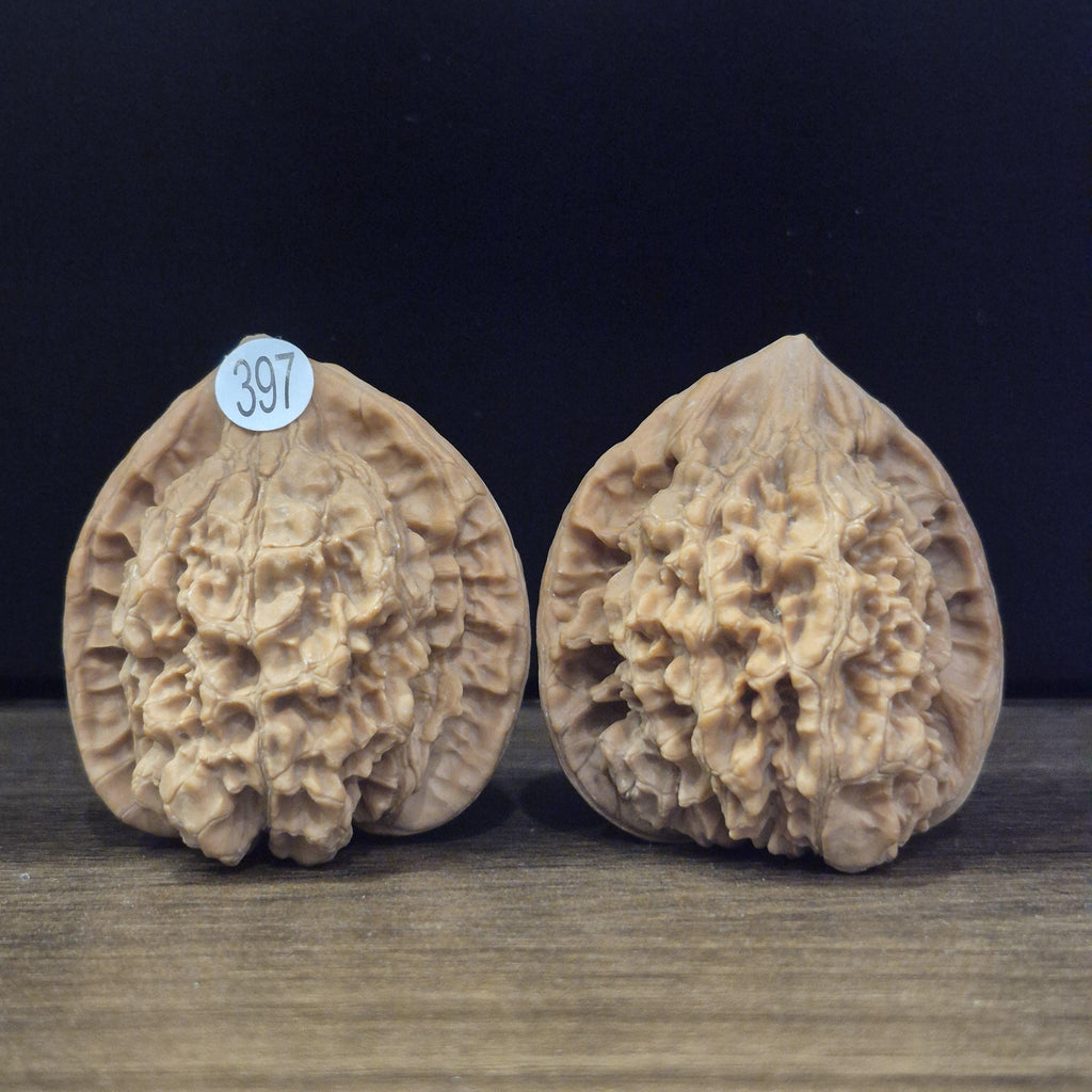 Wenwan Walnuts No 397