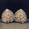 Wenwan Walnuts No 397