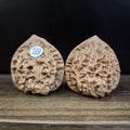 Wenwan Walnuts No 189