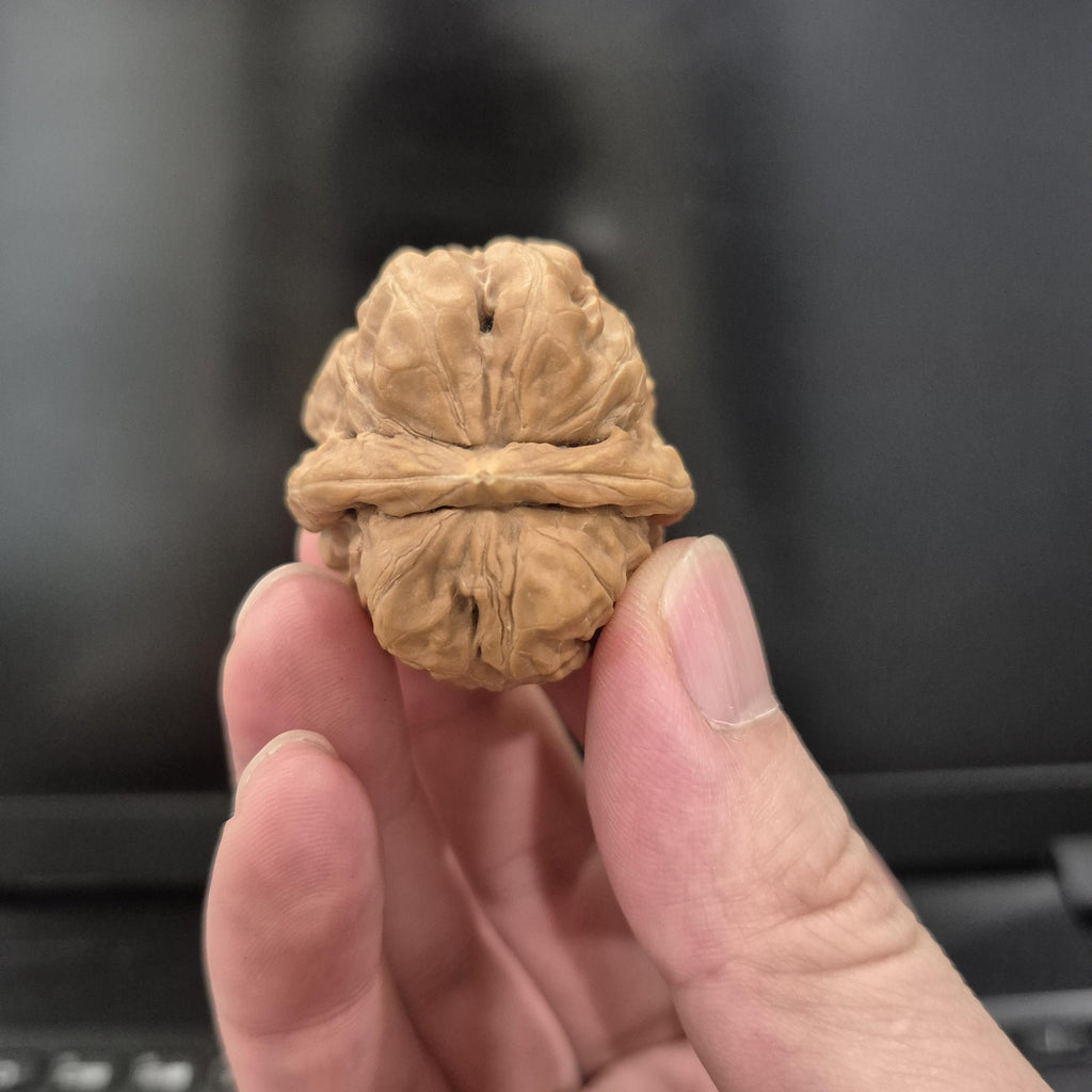 Toad Head Wenwan Walnuts 38-40mm