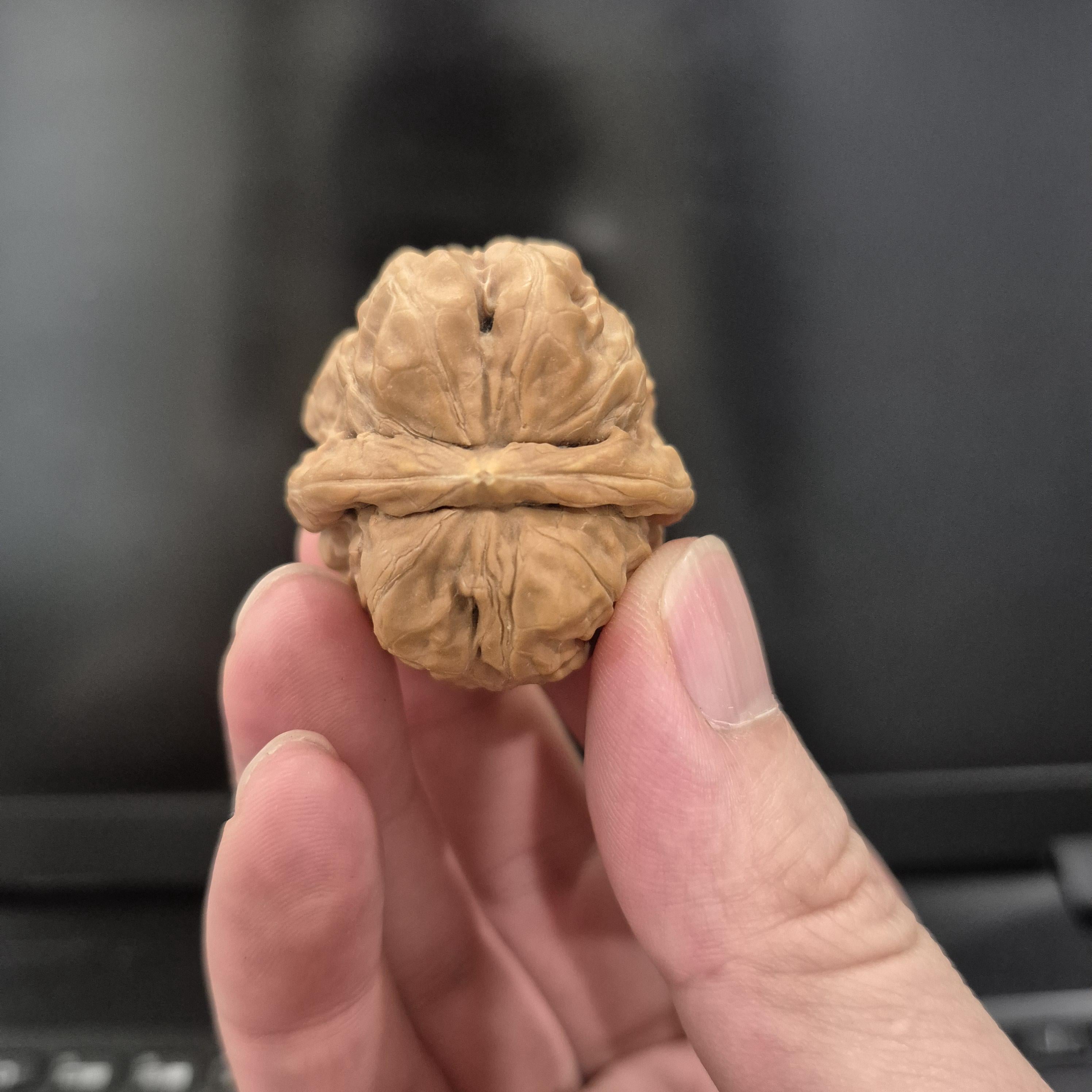 Toad Head Wenwan Walnuts 38-40mm