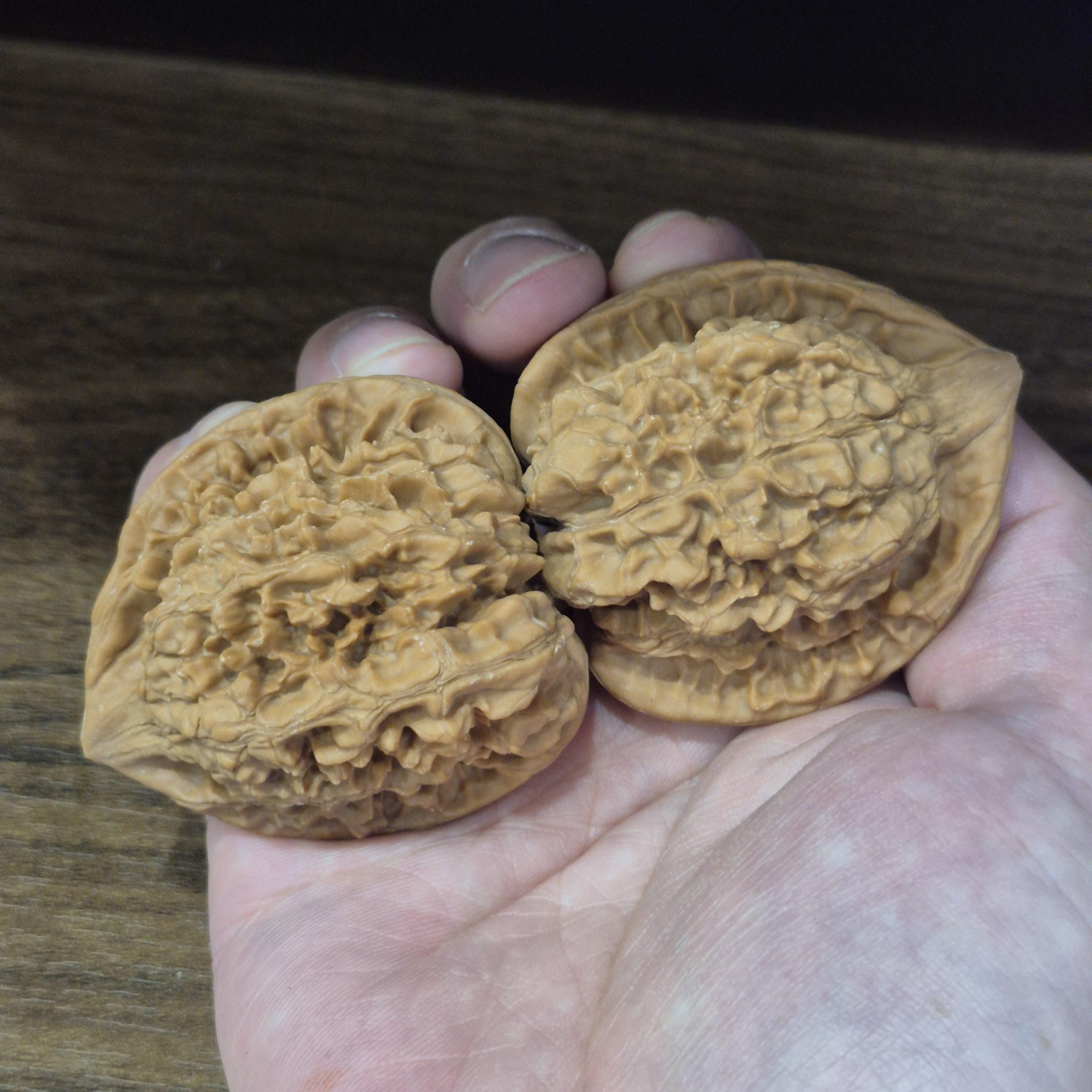 Wenwan Walnuts No 397