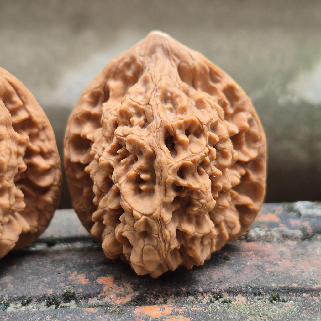 Wenwan Walnuts No 101