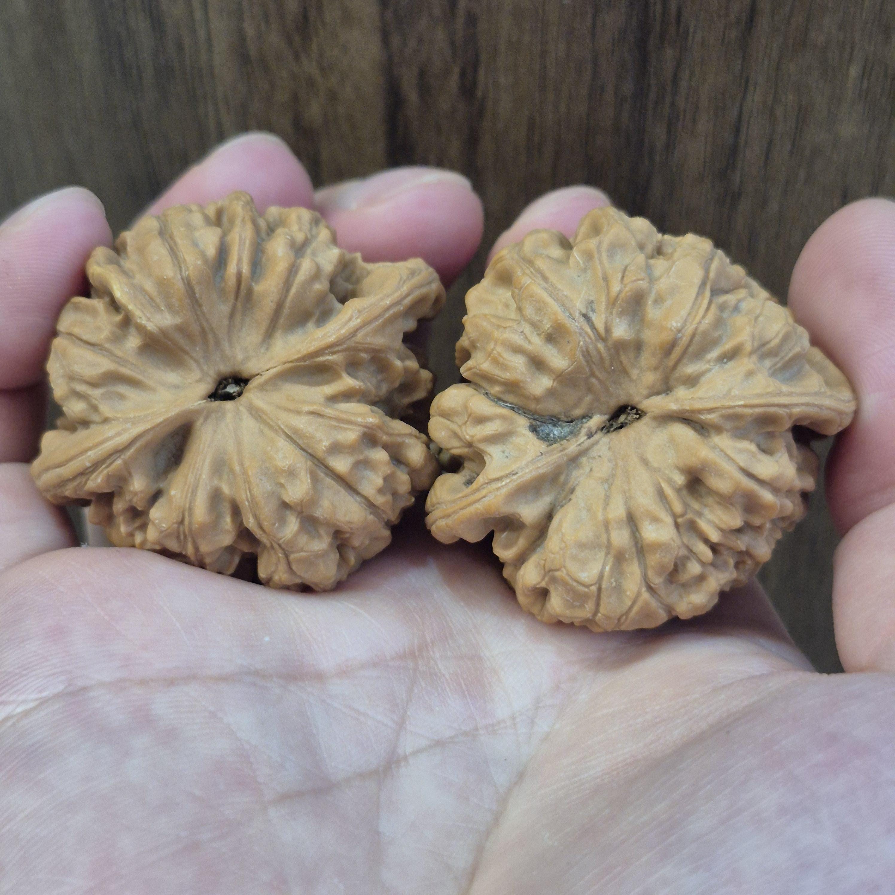 Wenwan Walnuts No 189