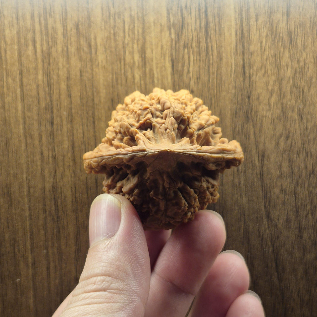 Wenwan Walnuts No 394