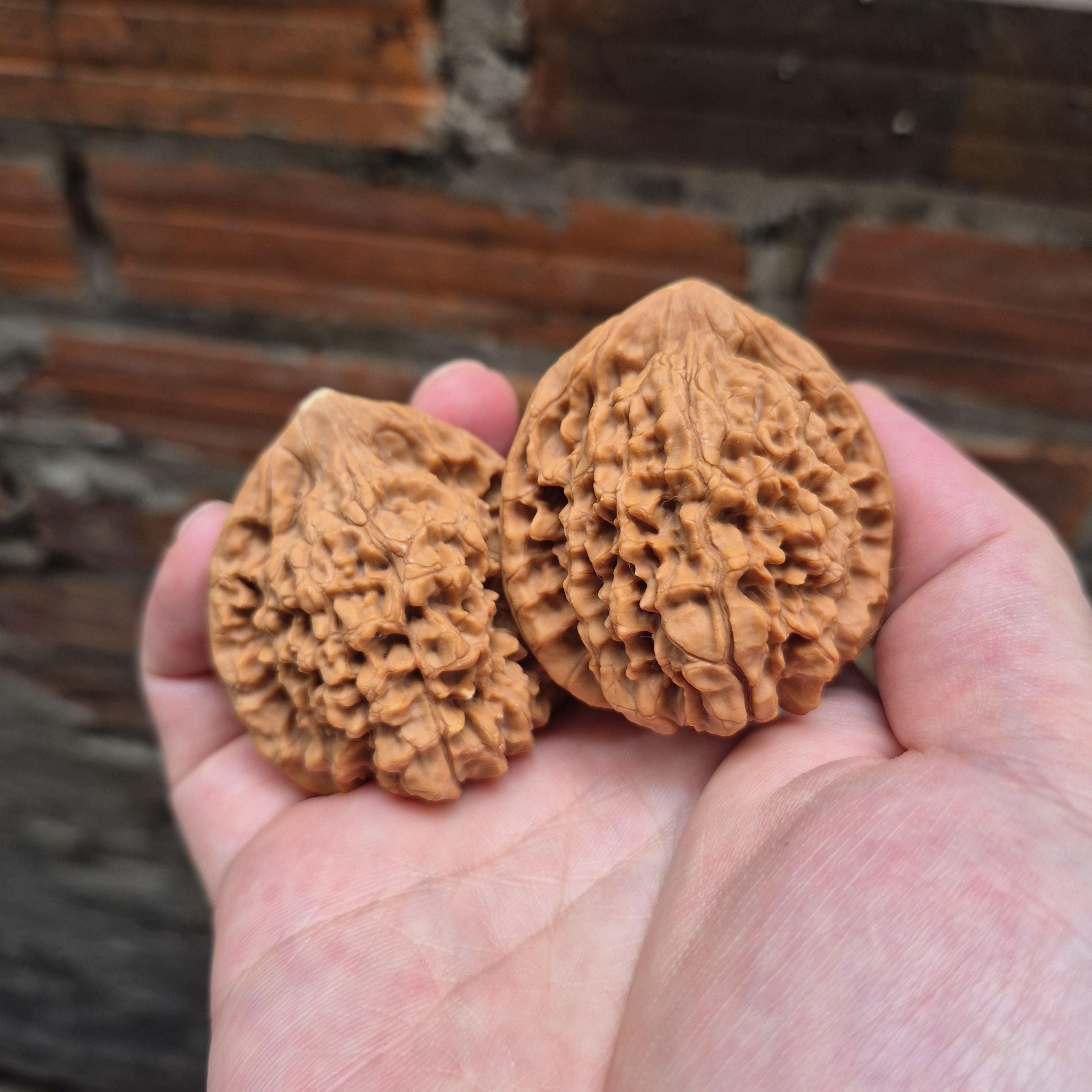 Wenwan Walnuts No 101