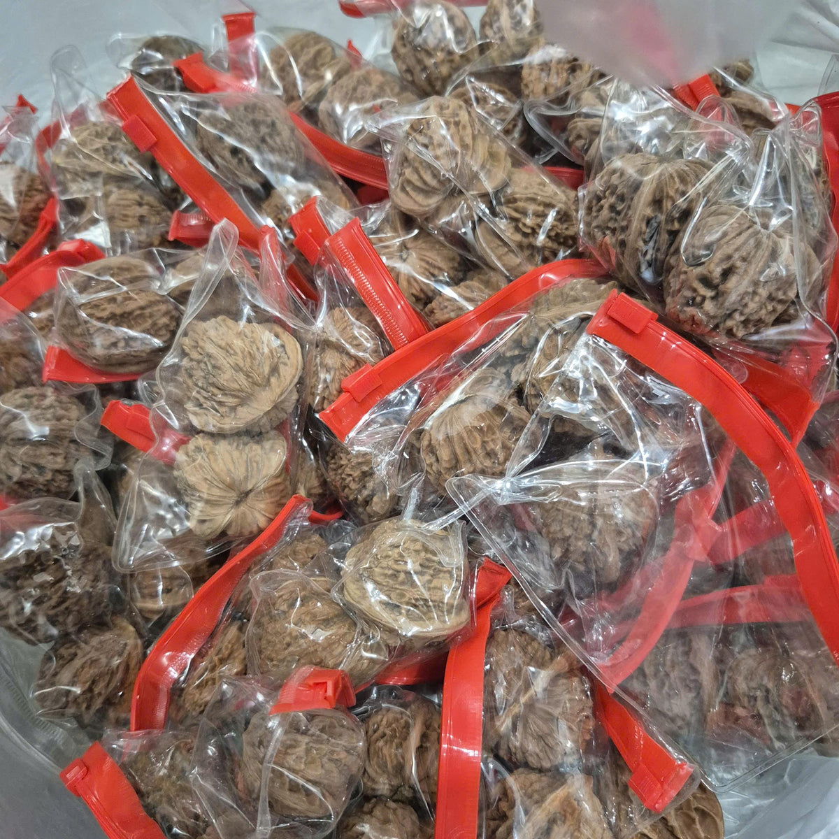 Wenwan Walnut Seeds for Planting, Sprouted Walnut Seeds for Tree Growing, Fast Shipping USA