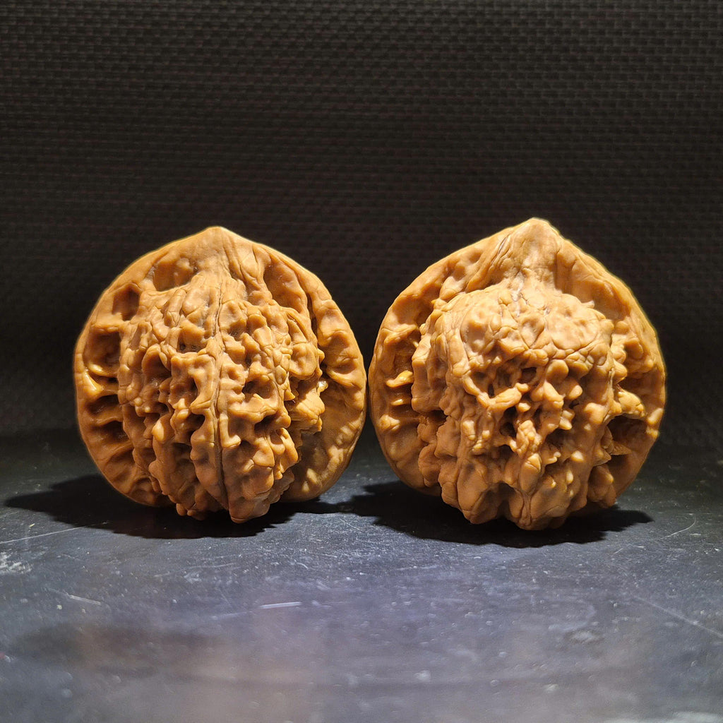 Wenwan Walnuts No 457