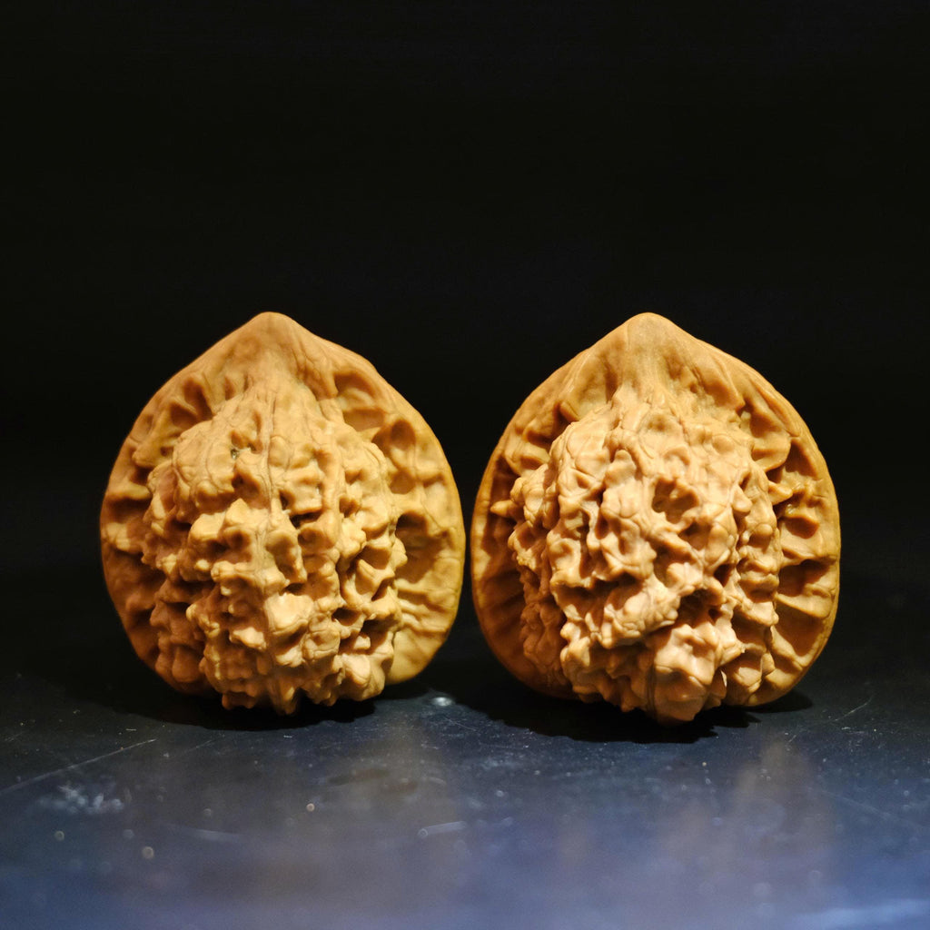 Wenwan Walnuts No 451