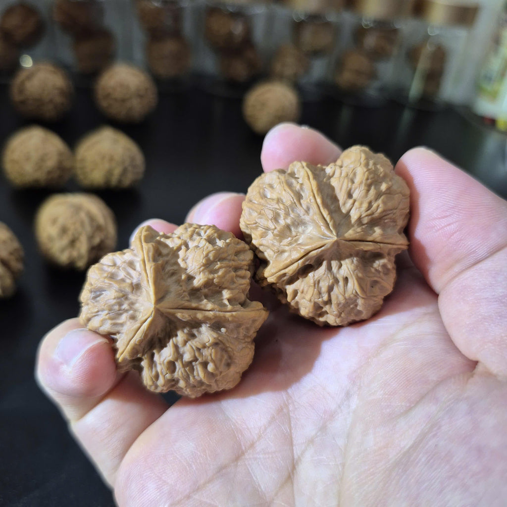 Natural Triangular Walnut Pair 38-40mm, Collectible Hand Exercise Walnuts, 3 Side Wenwan Walnuts
