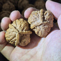 Natural Triangular Walnut Pair 38-40mm, Collectible Hand Exercise Walnuts, 3 Side Wenwan Walnuts