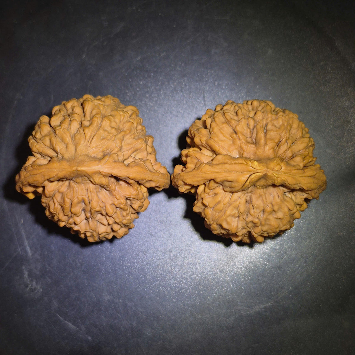 Wenwan Walnuts No 457