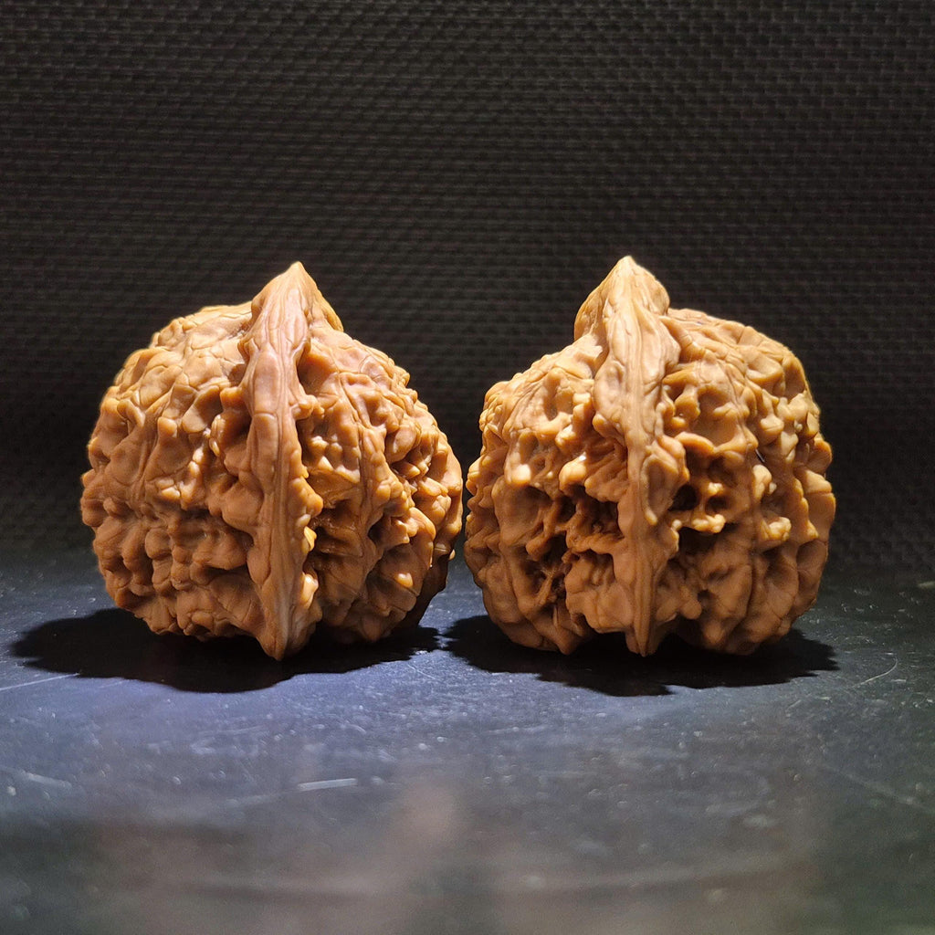 Wenwan Walnuts No 457