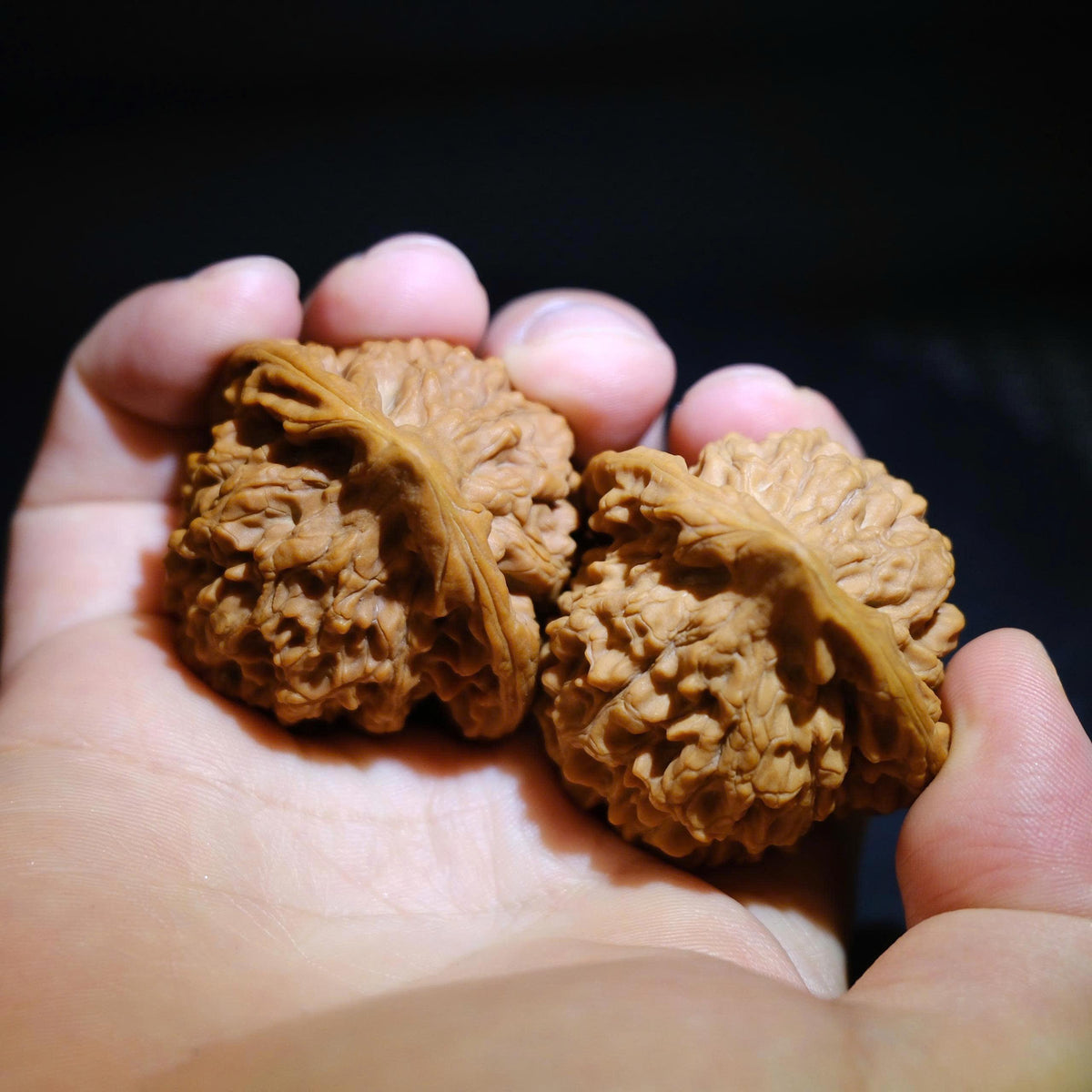 Wenwan Walnuts No 451