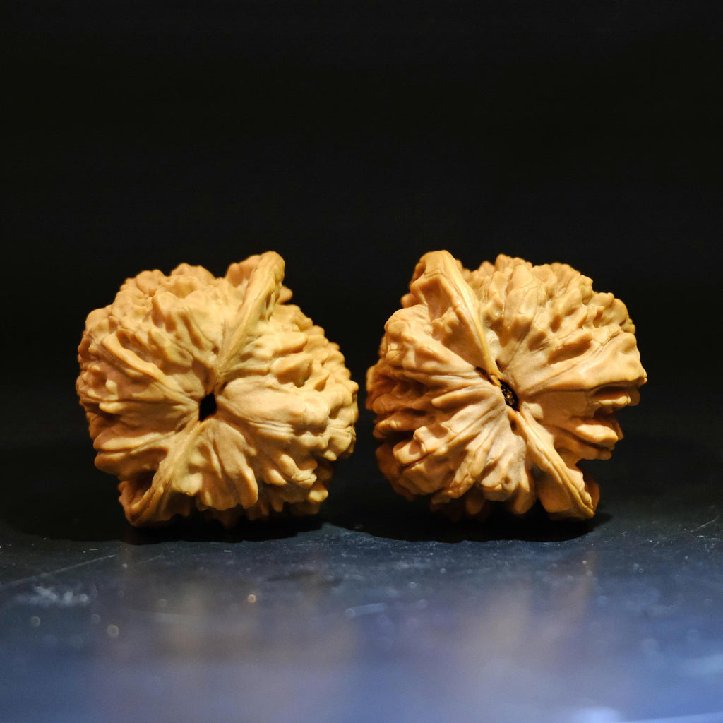 Wenwan Walnuts No 451