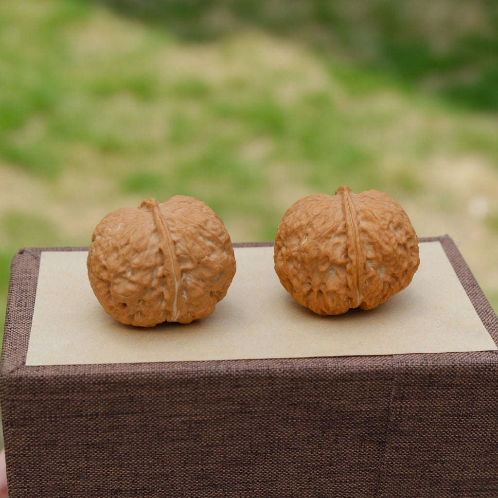 Natural Wenwan Walnut Pair 35-39mm, Iron Mask Style Hand Exercise Wenwan Walnuts