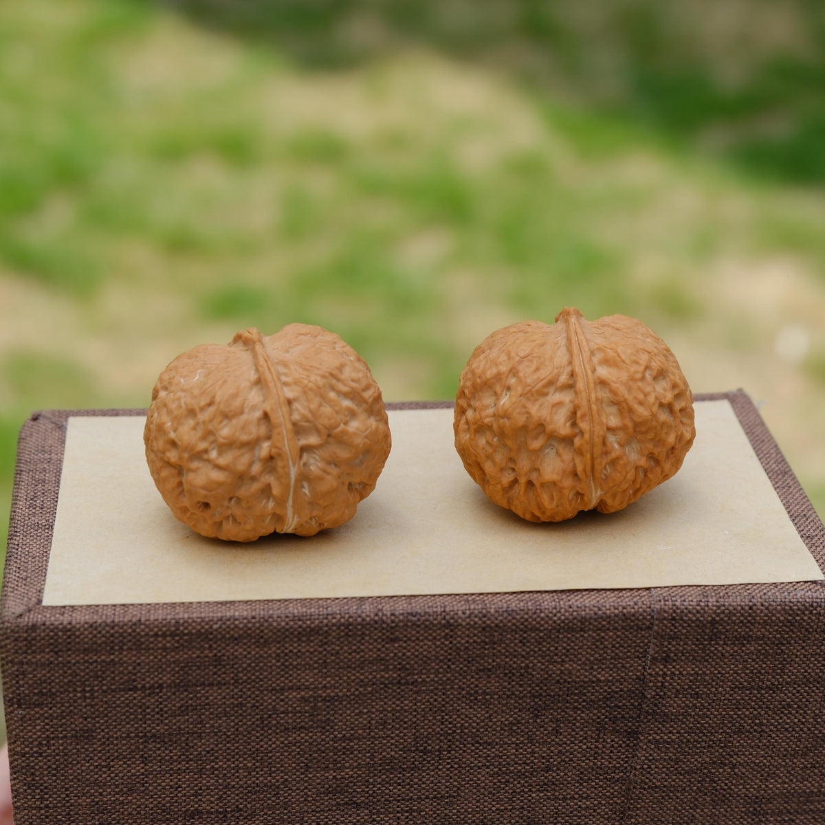Natural Wenwan Walnut Pair 35-39mm, Iron Mask Style Hand Exercise Wenwan Walnuts