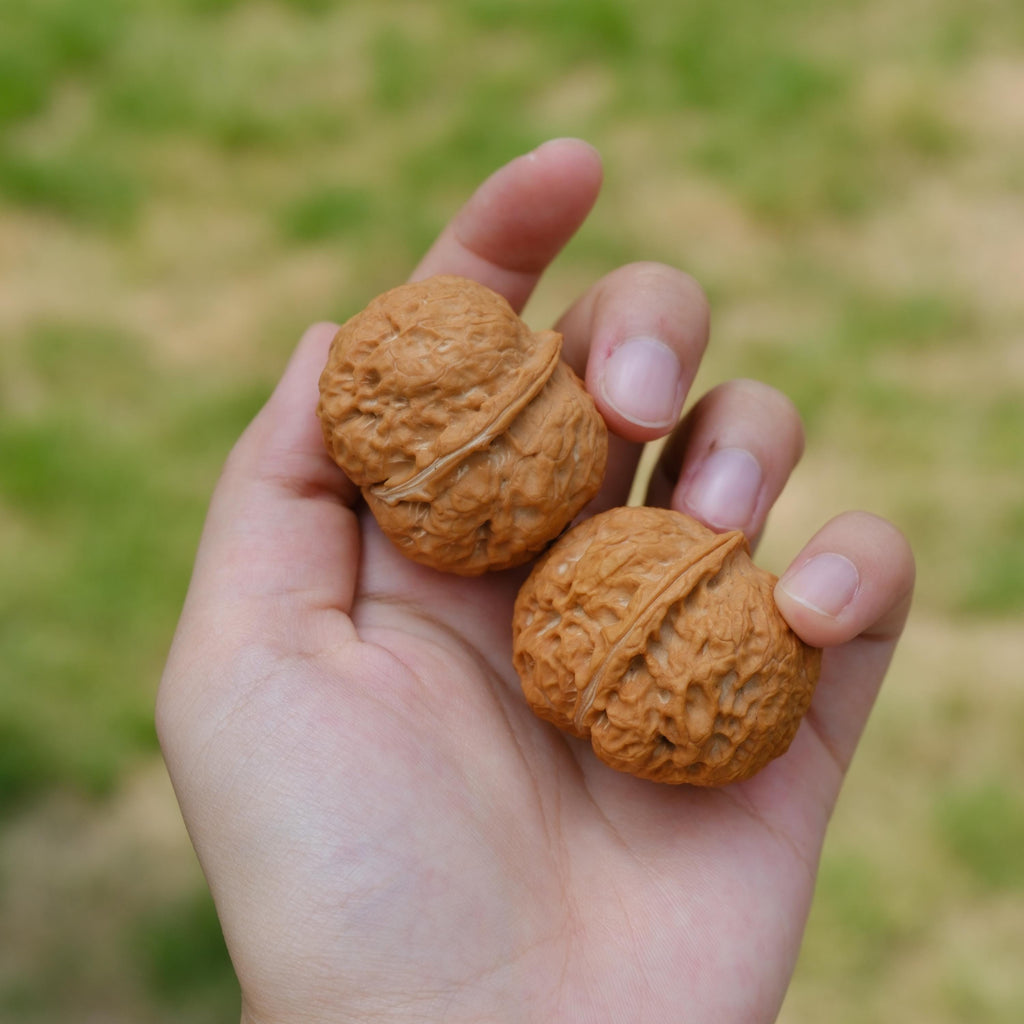 Natural Wenwan Walnut Pair 35-39mm, Iron Mask Style Hand Exercise Wenwan Walnuts