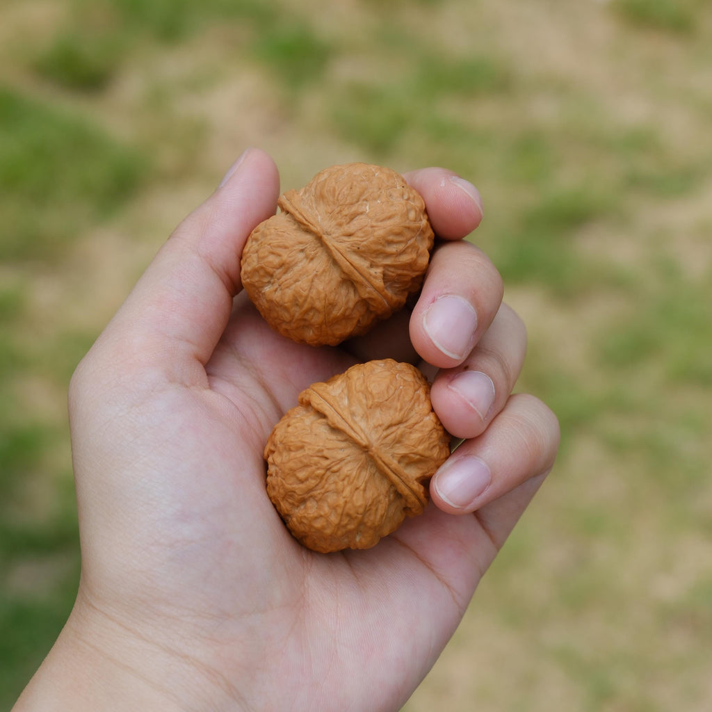 Natural Wenwan Walnut Pair 35-39mm, Iron Mask Style Hand Exercise Wenwan Walnuts