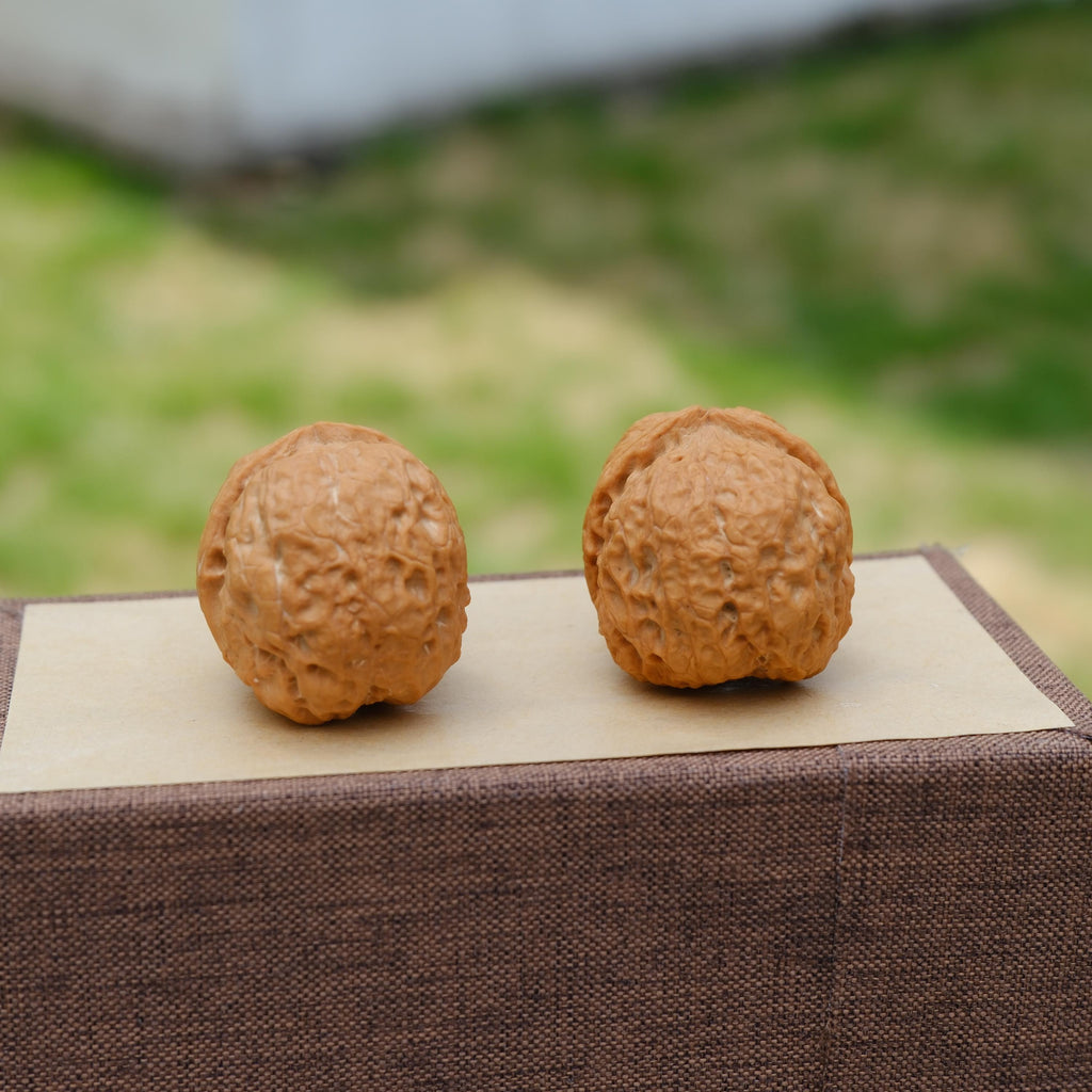Natural Wenwan Walnut Pair 35-39mm, Iron Mask Style Hand Exercise Wenwan Walnuts