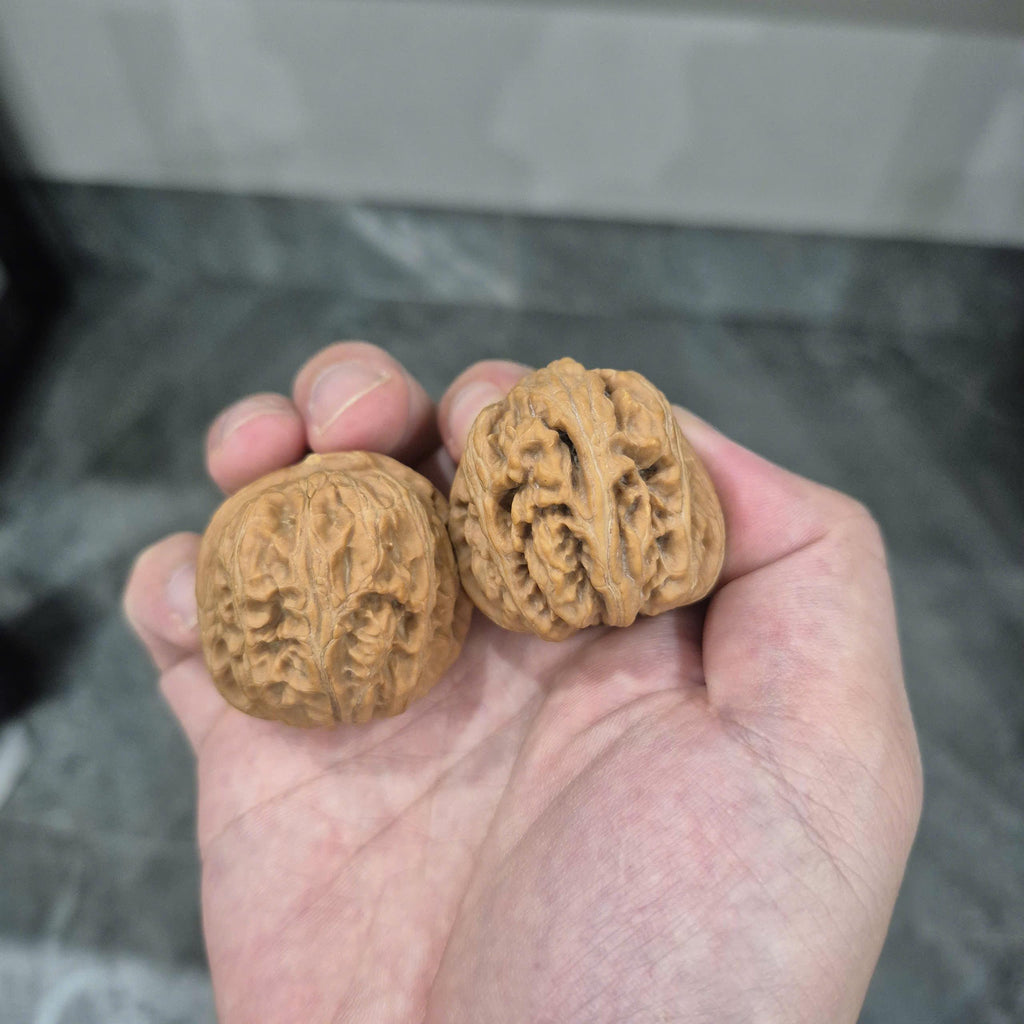 Natural Wenwan Walnuts, Yuanbao Walnut Pair, 40-44mm, Slight Yellow Tips, Hand Rolling Walnuts