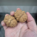 Natural Wenwan Walnuts, Yuanbao Walnut Pair, 40-44mm, Slight Yellow Tips, Hand Rolling Walnuts