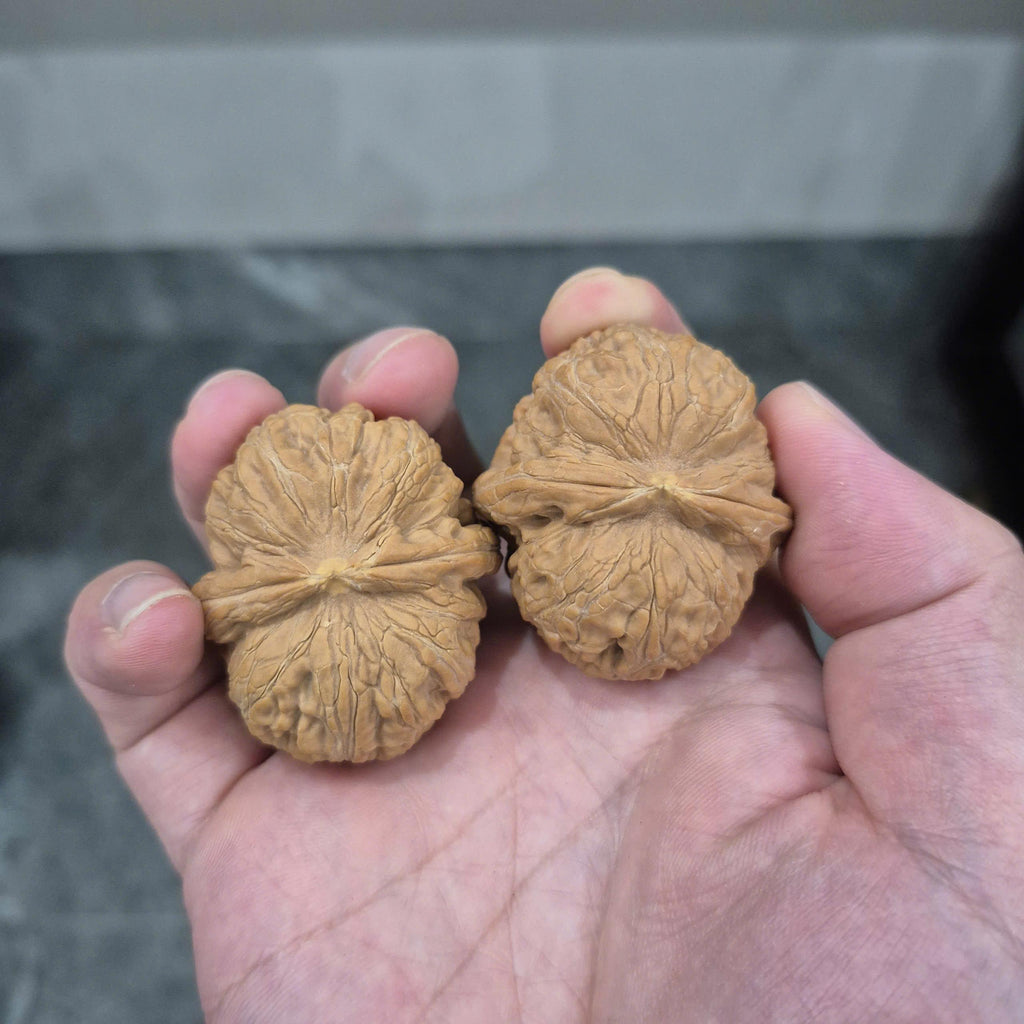 Natural Wenwan Walnuts, Yuanbao Walnut Pair, 40-44mm, Slight Yellow Tips, Hand Rolling Walnuts
