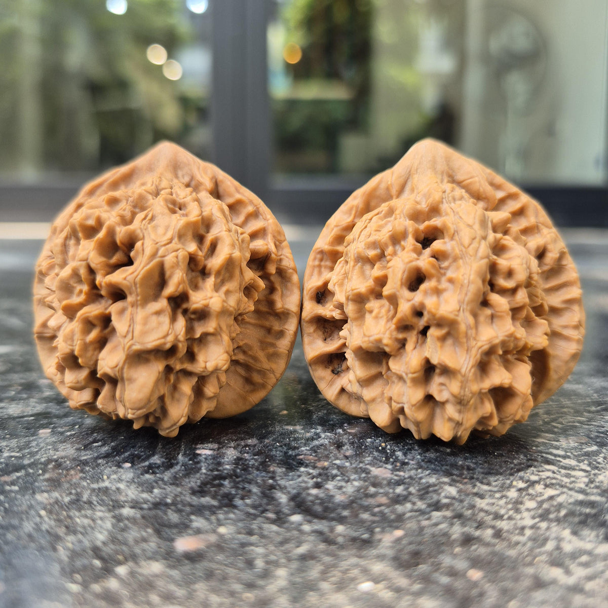 Wenwan Walnuts No 488