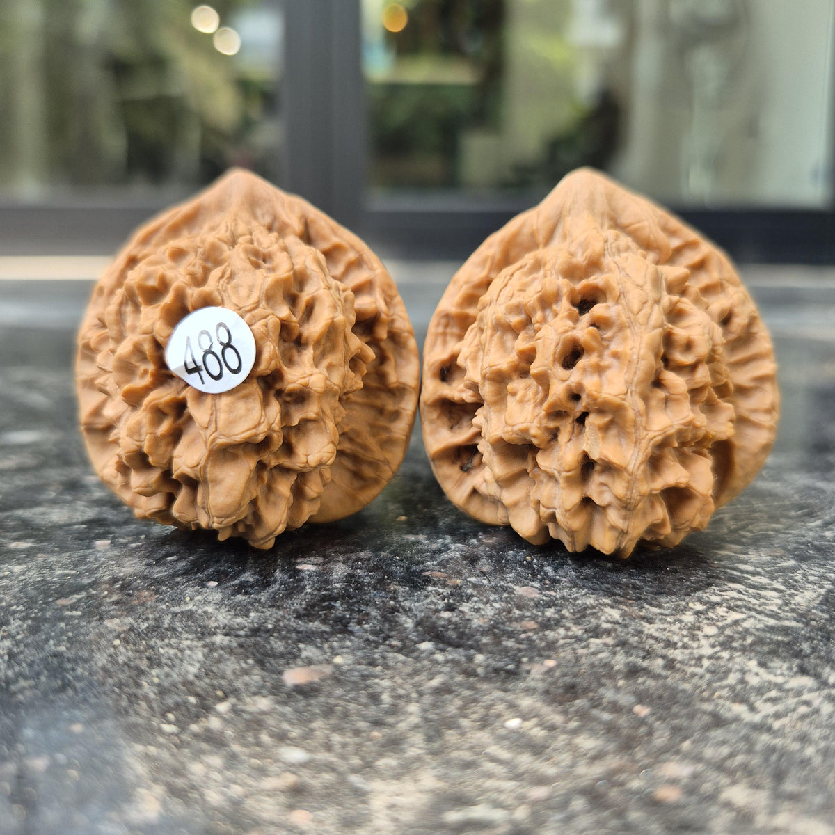 Wenwan Walnuts No 488