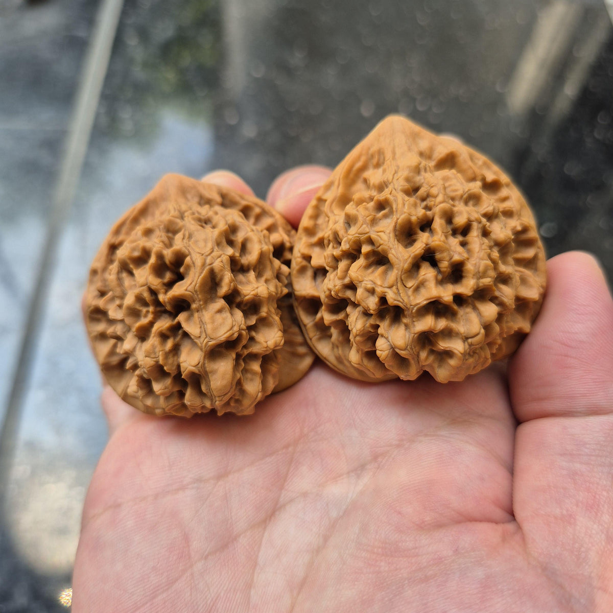 Wenwan Walnuts No 488