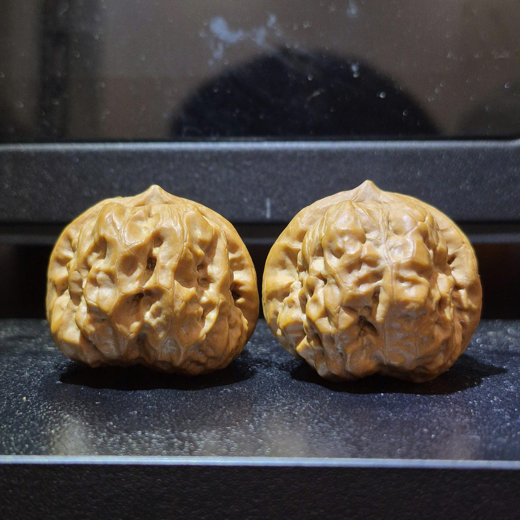 Wenwan Walnuts No 413