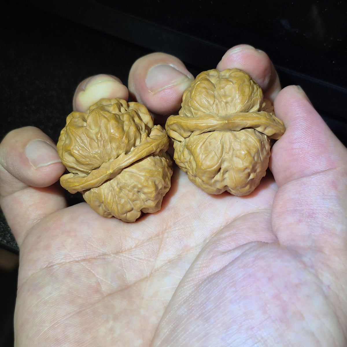 Wenwan Walnuts No 413