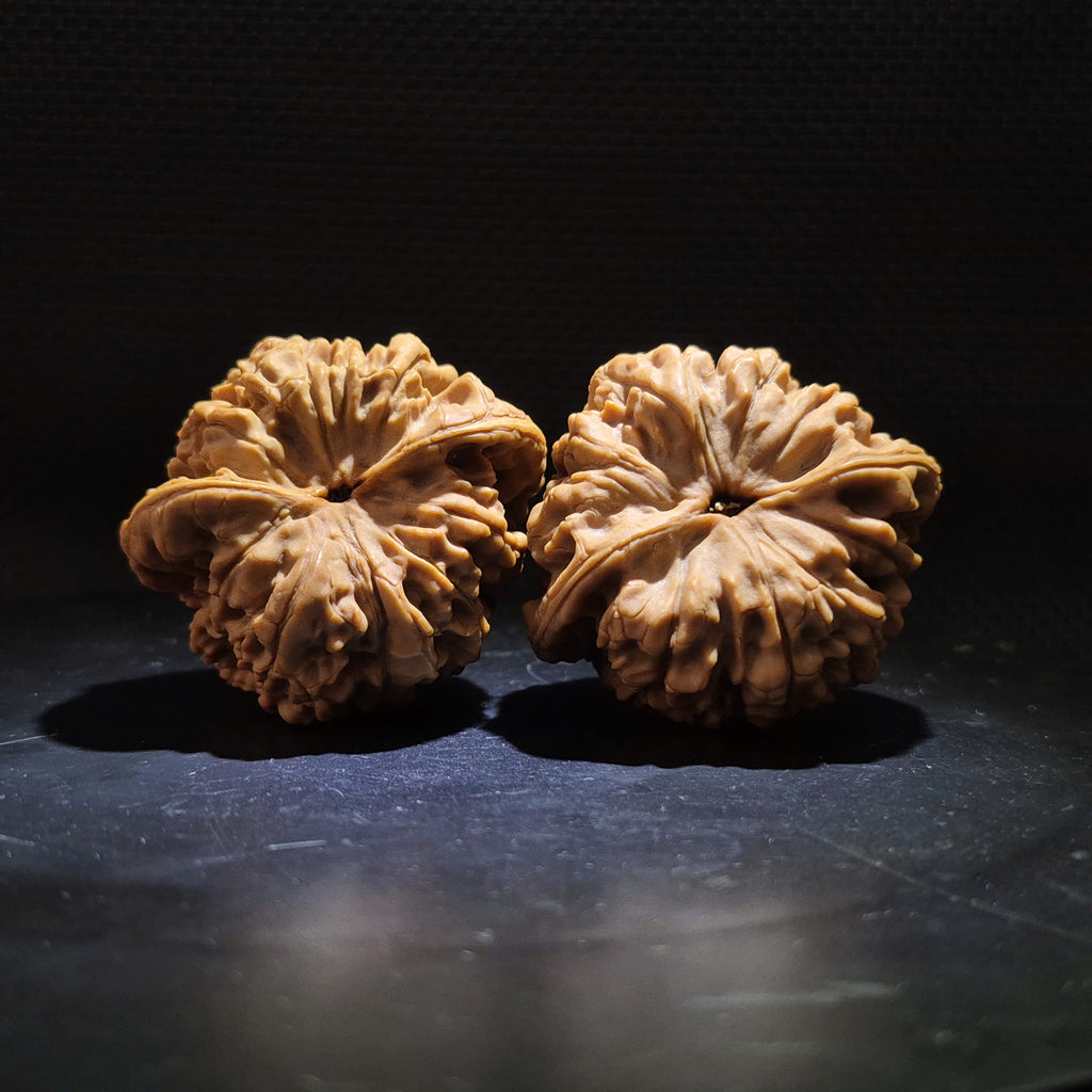 Wenwan Walnuts No 465