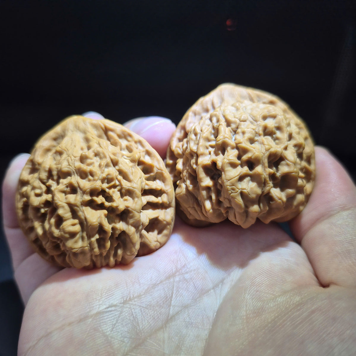 Wenwan Walnuts No 465