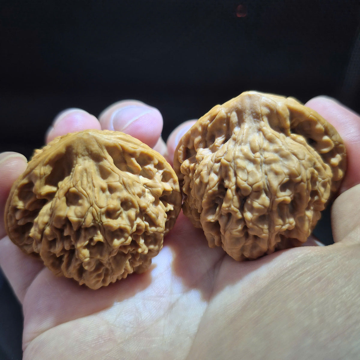Wenwan Walnuts No 465